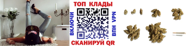 Где купить Кемь APVP ГАШ Псилоцибиновые грибы Cocaine Бошки Шишки