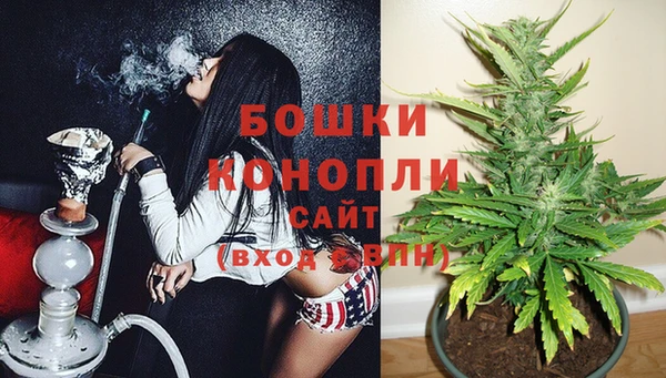 прущая мука Бородино