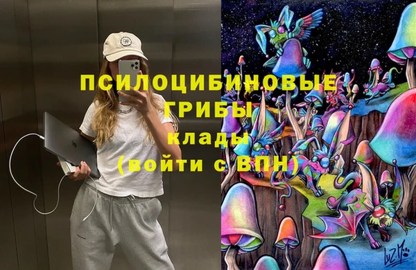 соль ск Армянск